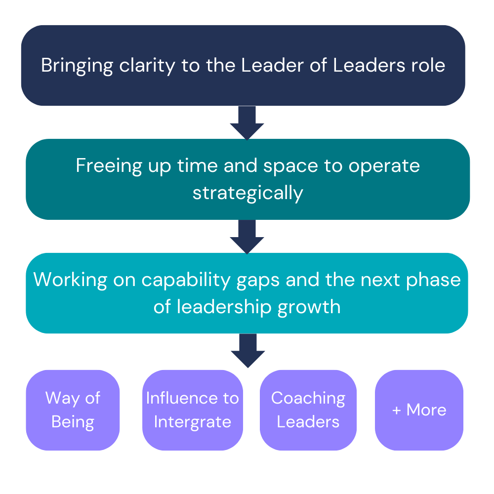 Being Leaders Leadership Development Approach